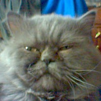 Дмитрий Ермаков