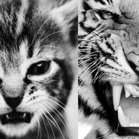 Влад Рыжков