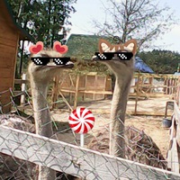 Денис Кравченко