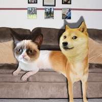 Алина Рейнгольд