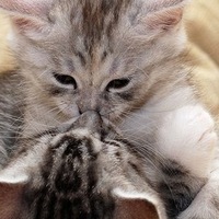 Надюлька Алексеева