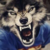 Роман Курилович