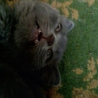 Лёха Андронюк