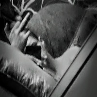 Бесчувственная Тварь