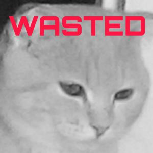 Я акула турурурруру