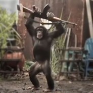 Toxik_Лайфхакер