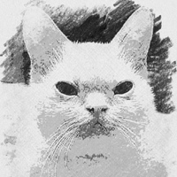 Виталий Николаев