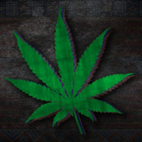 Матвей Папруга