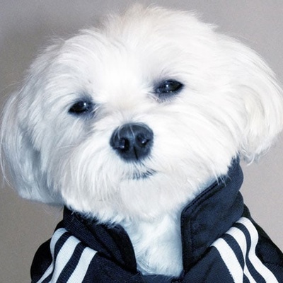 Вадим Журавлёв