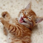 Тимофей Епишкин